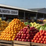 Mercado da Ceasa-DF com pilhas de frutas e vegetais frescos, simbolizando doação de 96 mil kg de alimentos beneficiando 60 mil pessoas.