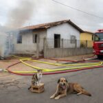 Viaturas de bombeiros controlando incêndio em casa na Candangolândia, com gato e cachorro resgatados.