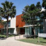 1 de 1 Celia Leão - Foto: Matheus Borges / Agência Brasília