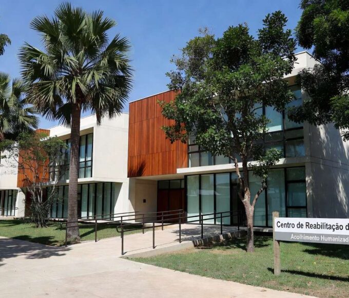 1 de 1 Celia Leão - Foto: Matheus Borges / Agência Brasília